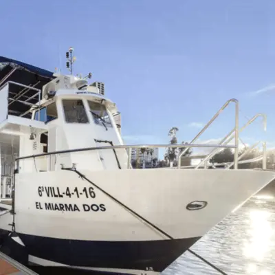 Crucero por el río Guadalquivir para visitras la zona monumental de la ciudad. Descubre las increíbles vistas de Sevilla con este paseo en barco, Puedes disfrutar de diferentes excusriones de varias duraciones que incluyen un aperitivo, comida o cena.